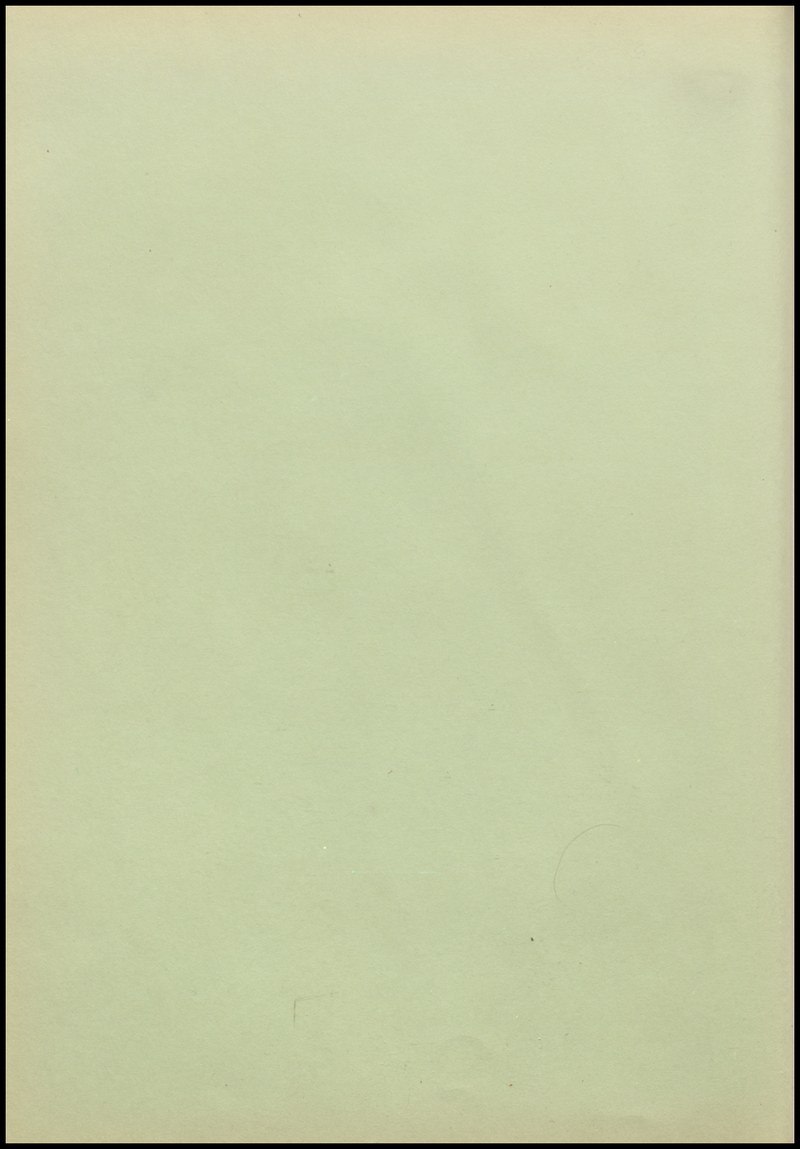 0010.jpg